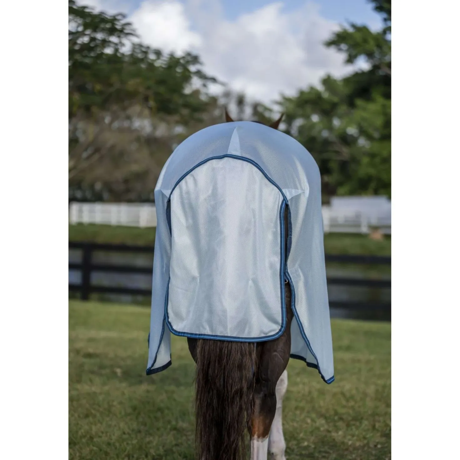 Amigo Bug Buster II Azure Blue/Navy/Electric Blue