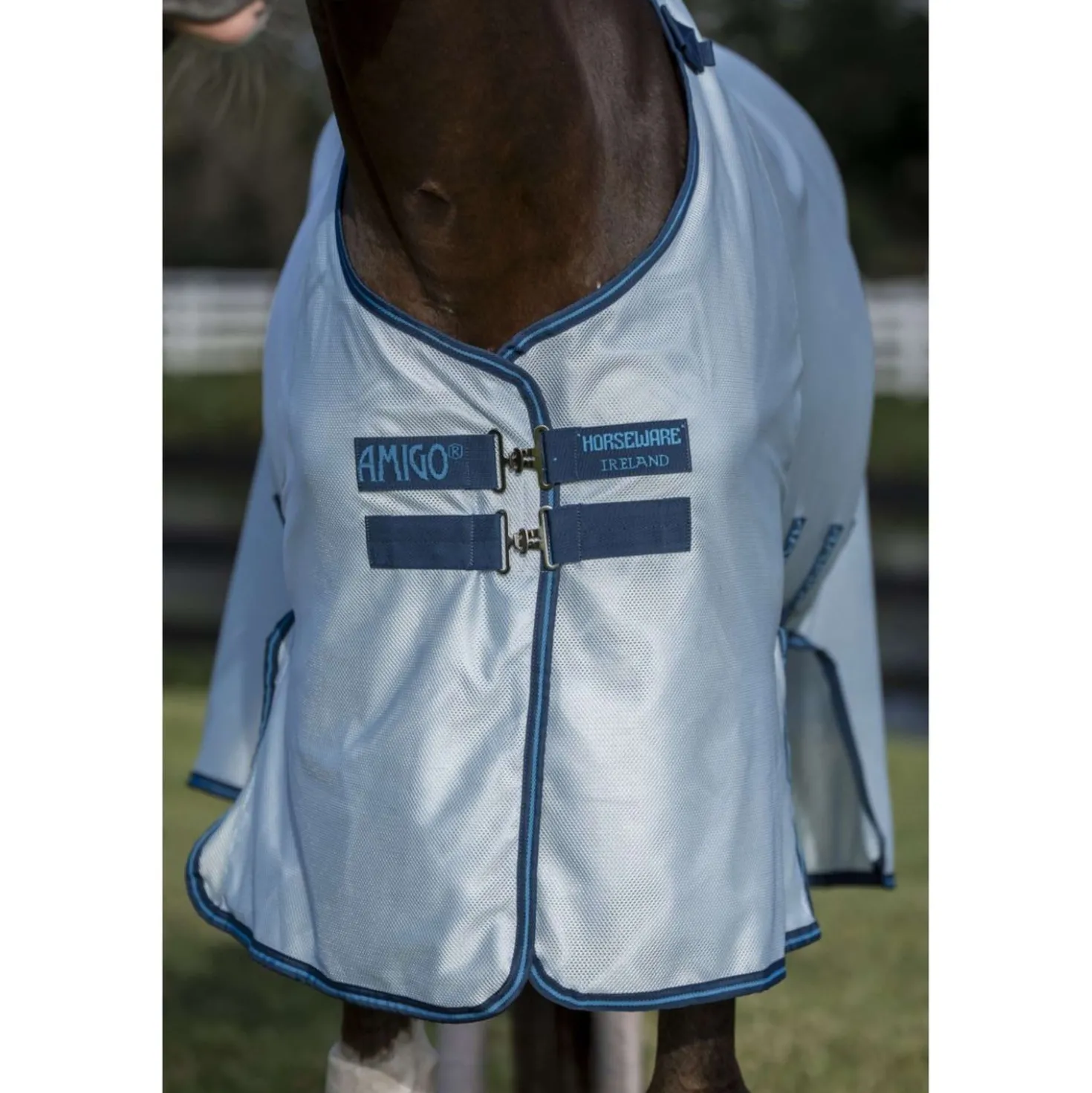 Amigo Bug Buster II Azure Blue/Navy/Electric Blue