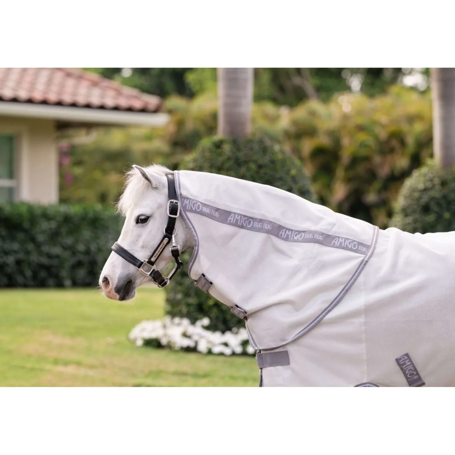 Amigo Bug Rug Plus Pony Silver/Titanium Grey/Silver