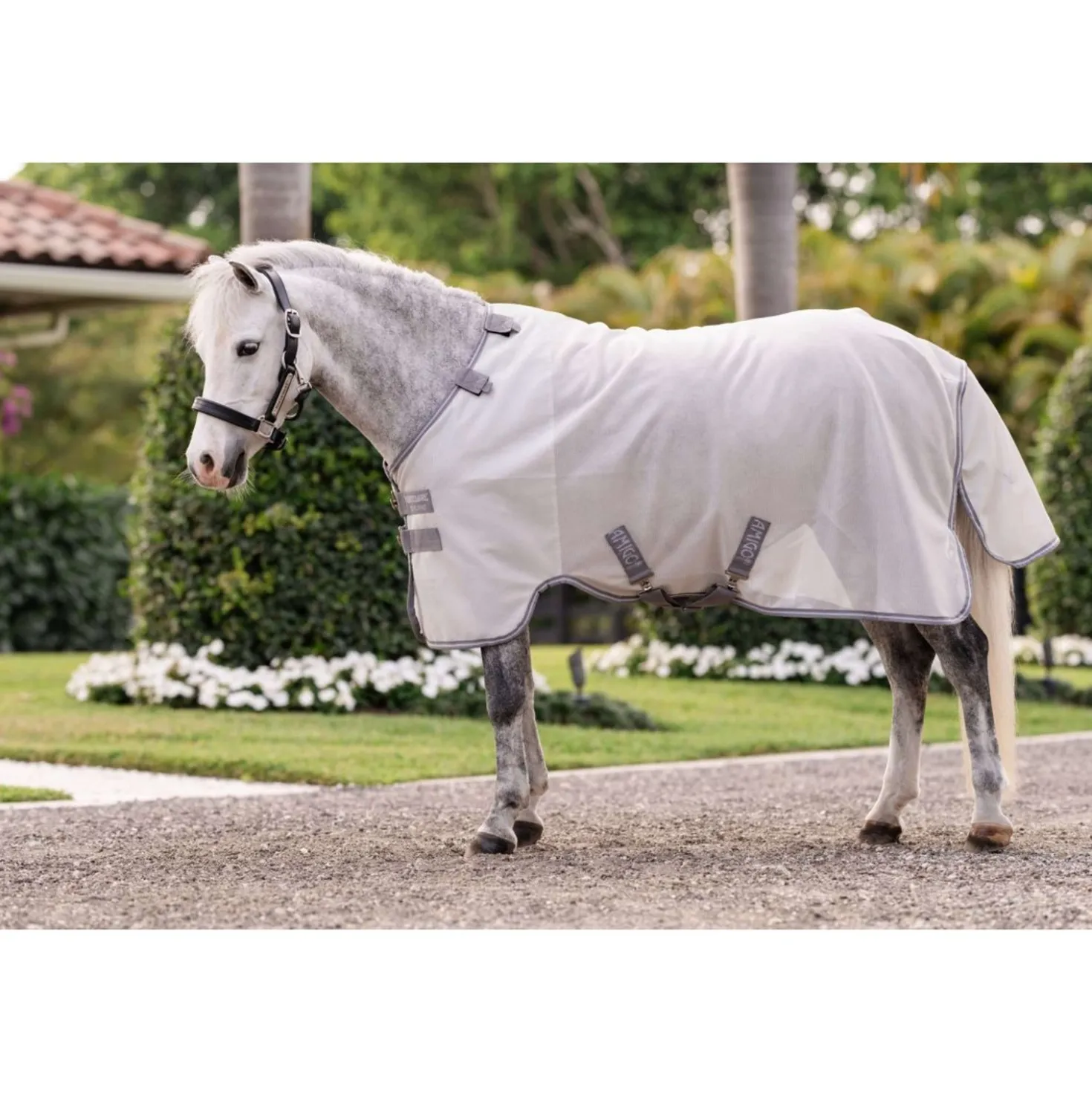 Amigo Bug Rug Plus Pony Silver/Titanium Grey/Silver