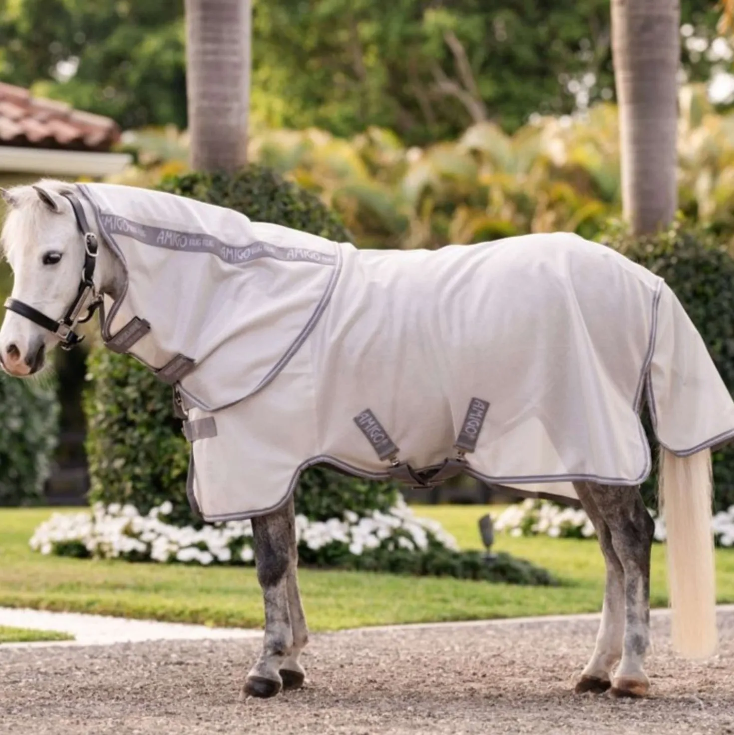 Amigo Bug Rug Plus Pony Silver/Titanium Grey/Silver