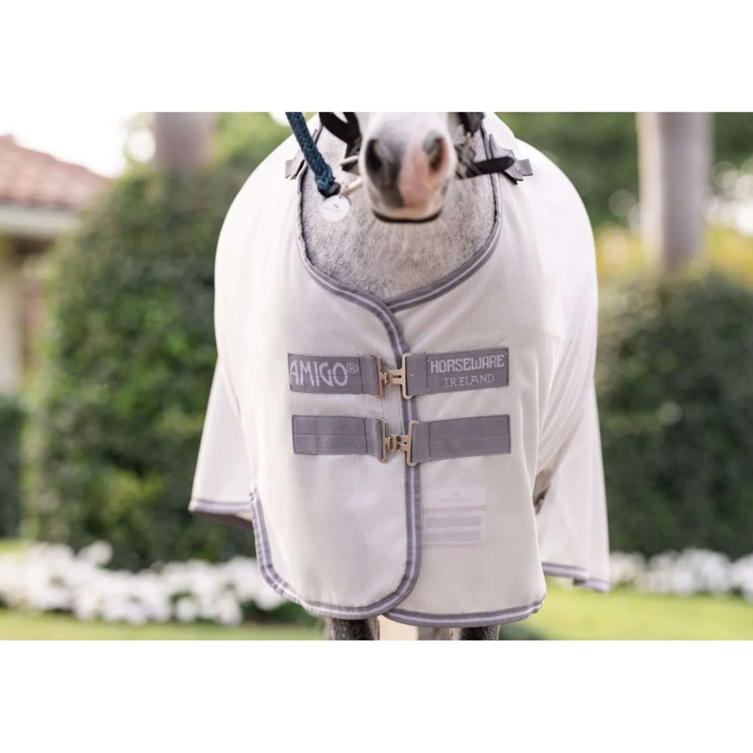 Amigo Bug Rug Plus Pony Silver/Titanium Grey/Silver
