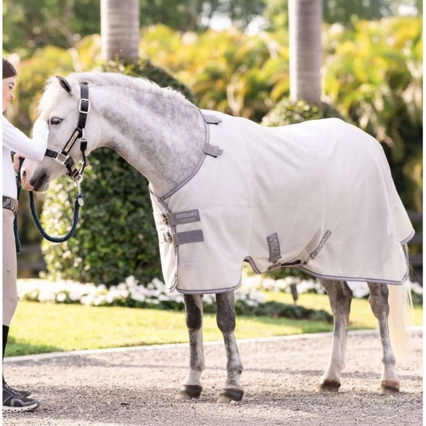 Amigo Bug Rug Pony Silver/Titanium Grey/Silver
