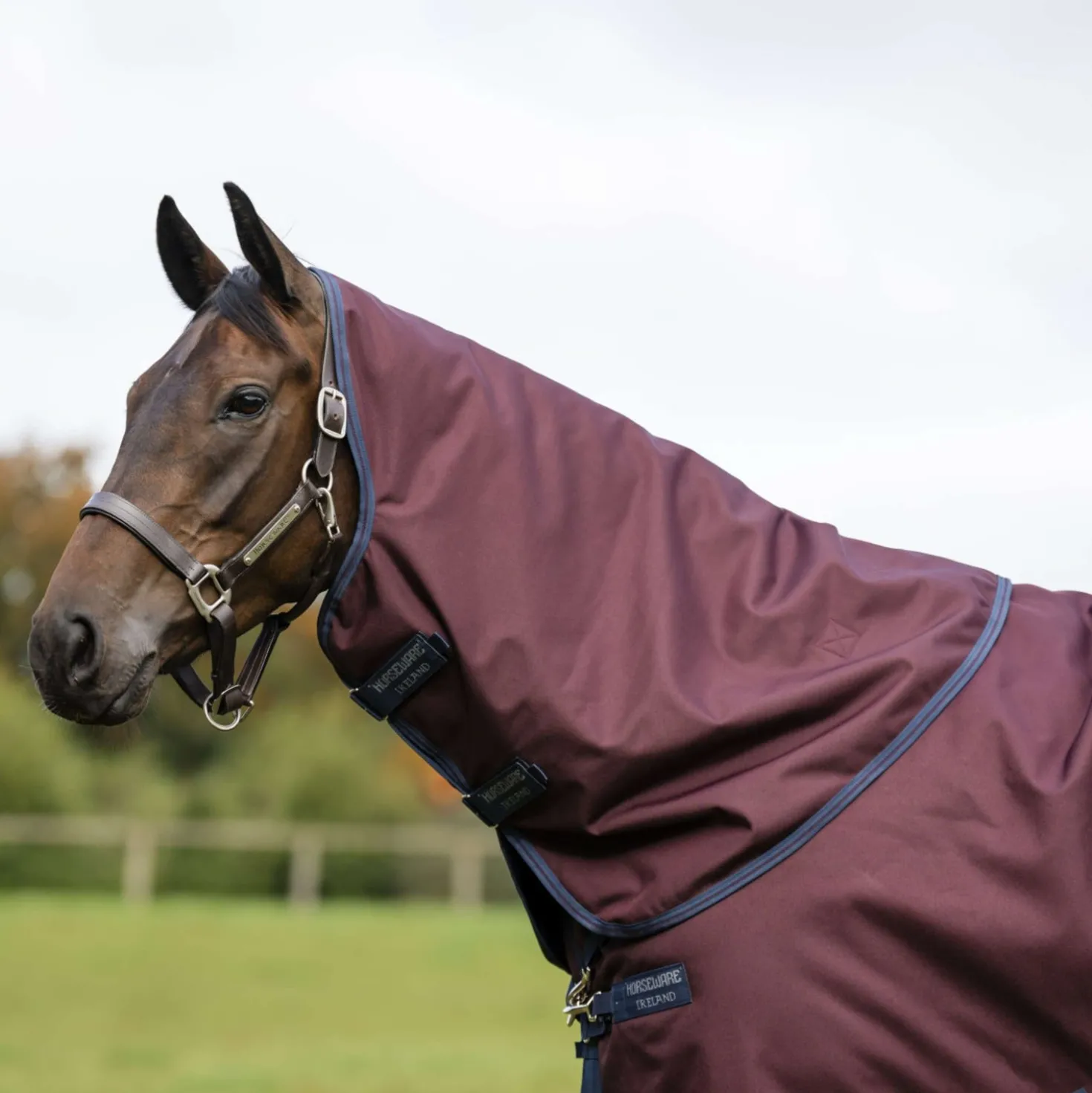 Amigo Halsstuk Turnout 1200D 0g Burgundy/Navy/Titanium Grey