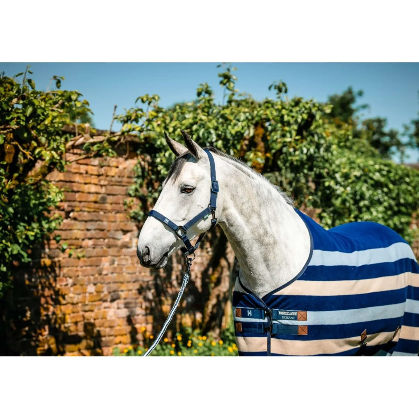 Amigo Halster & Touw Newmarket Witney Navy