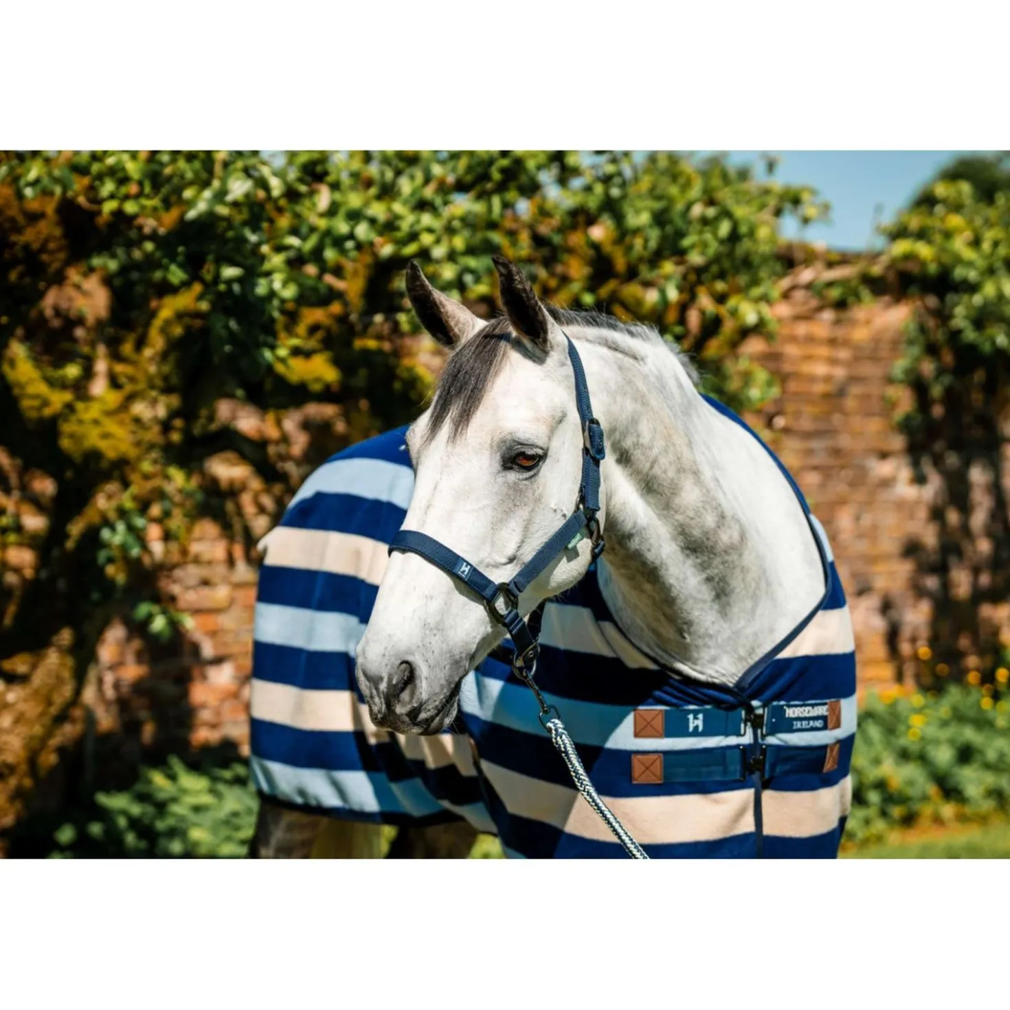 Amigo Halster & Touw Newmarket Witney Navy