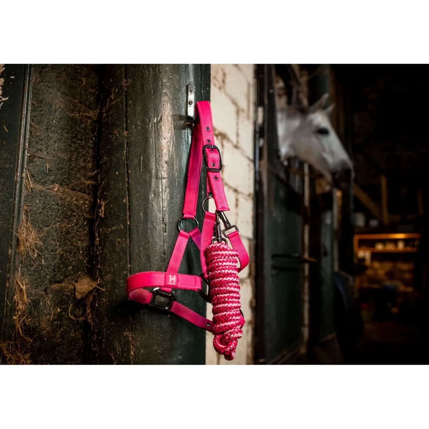 Amigo Halster & Touw Newmarket Witney Pink