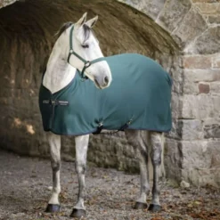 Amigo Jersey Cooler Dynasty Green/Navy/Silver