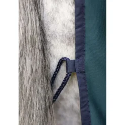 Amigo Jersey Cooler Dynasty Green/Navy/Silver