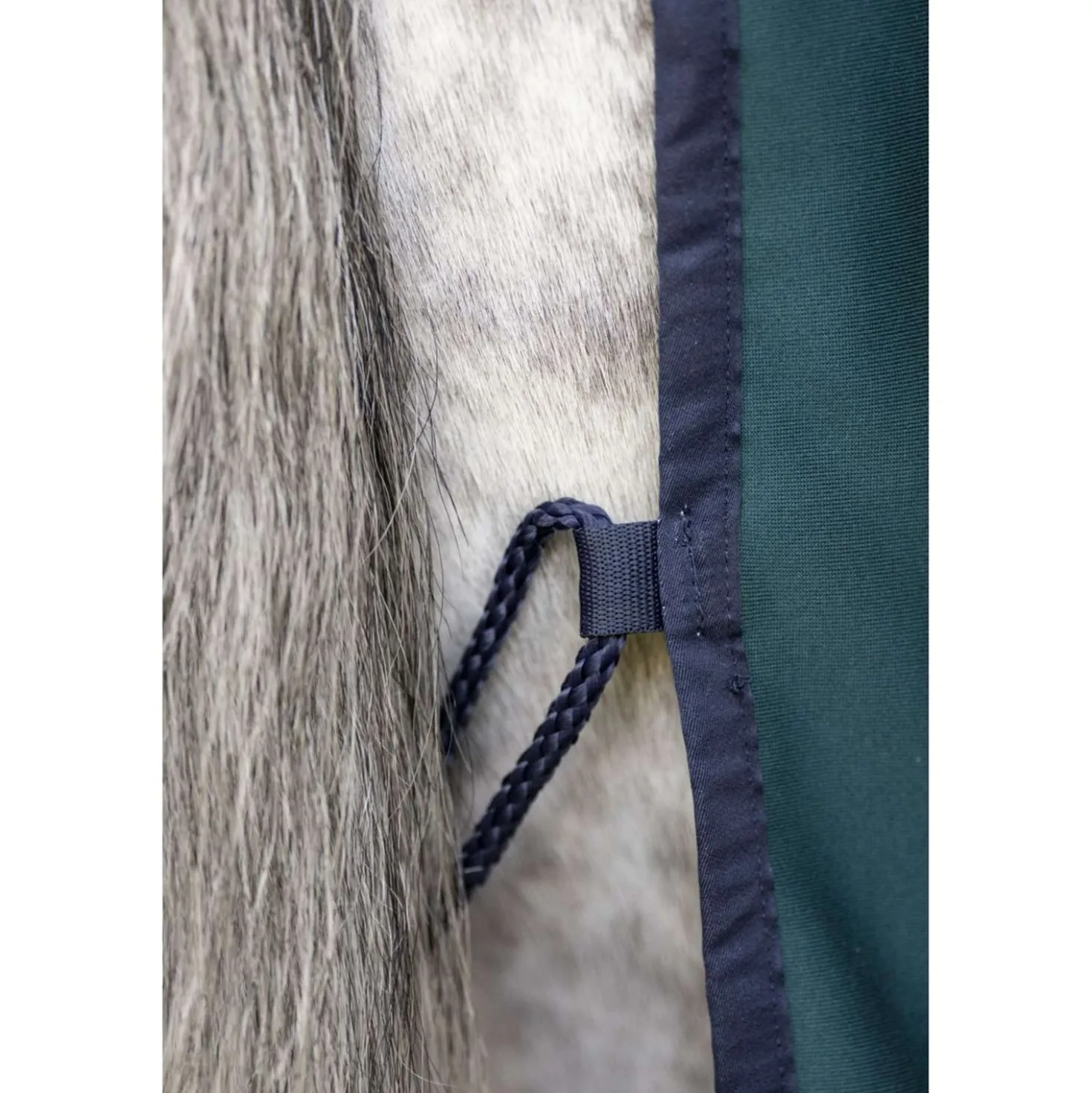 Amigo Jersey Cooler Dynasty Green/Navy/Silver