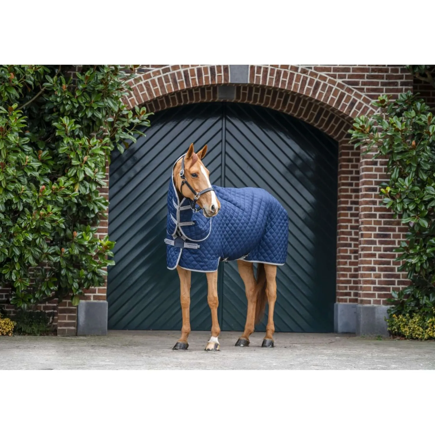 Amigo Quilted Stable Plus 200g Navy/Titanium Grey/Silver