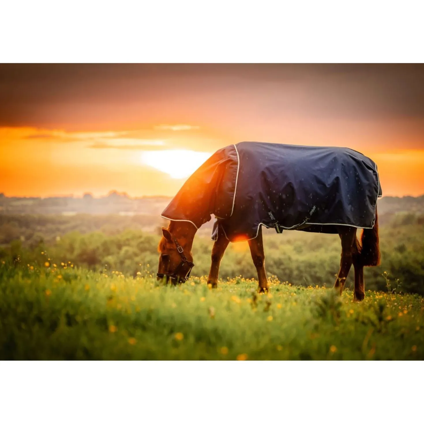 Amigo Ripstop 900D Plus 200g Witney Navy