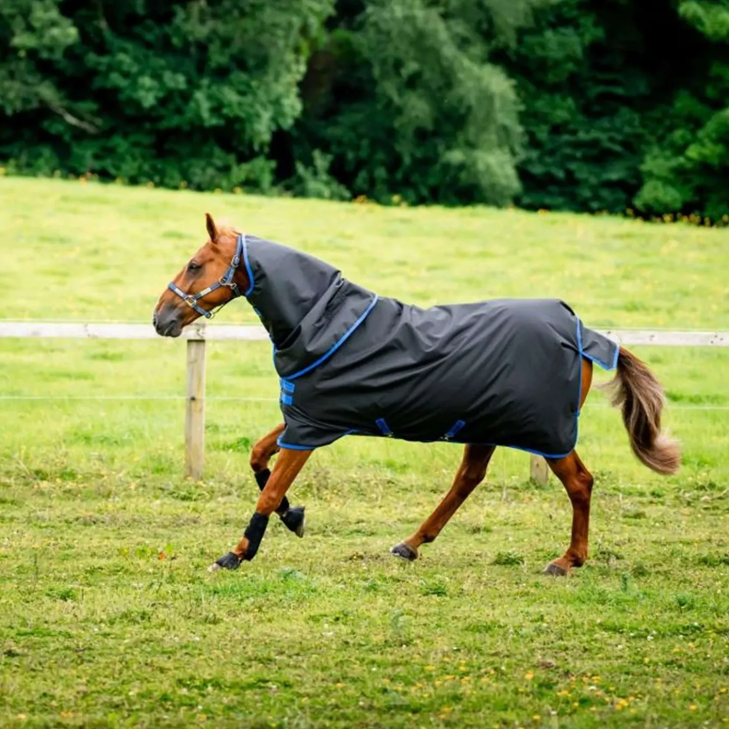 Amigo Ripstop 900D Plus 200g Zwart/Blauw