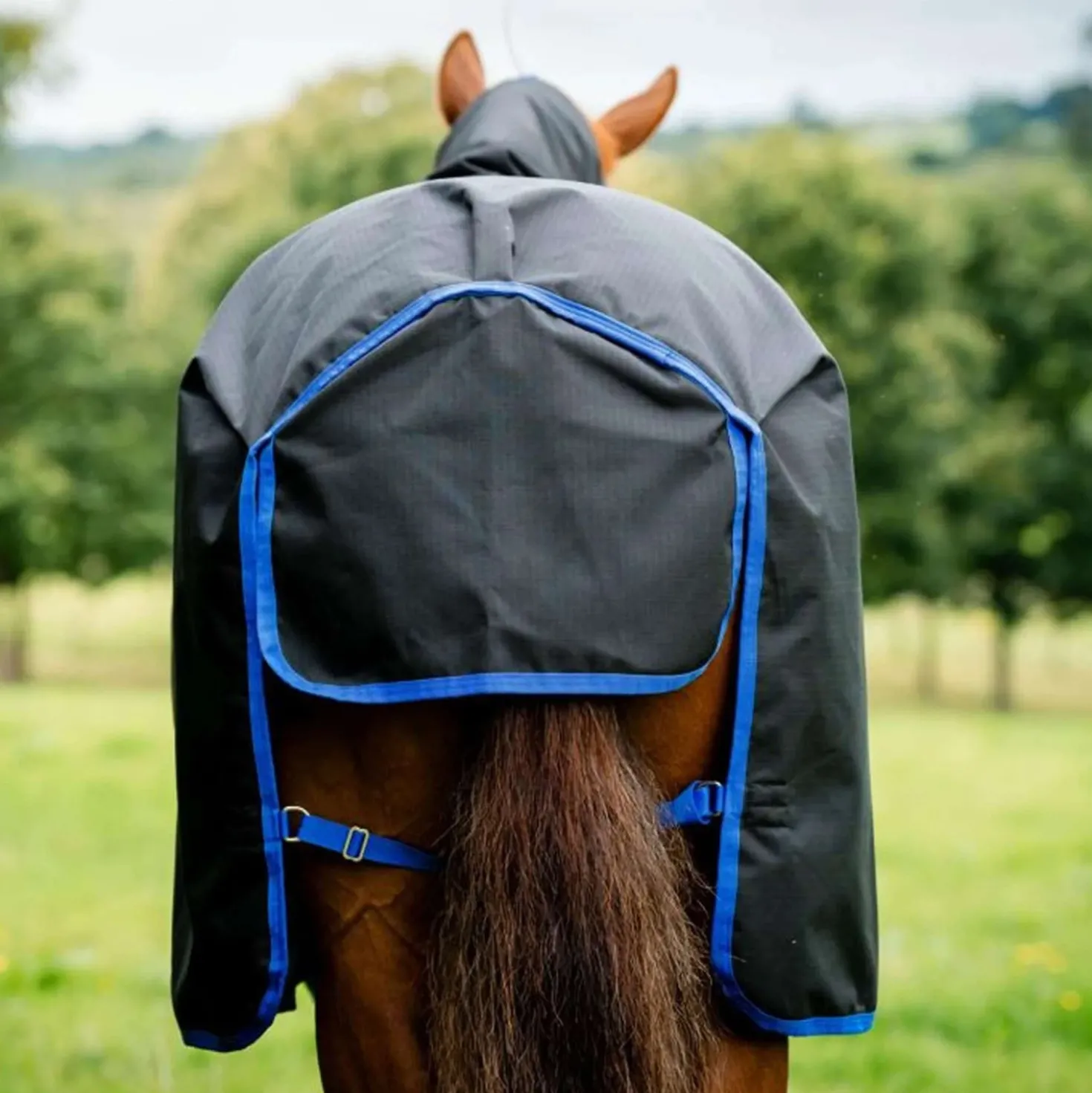 Amigo Ripstop 900D Plus 100g Zwart/Blauw