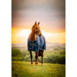 Amigo Ripstop 900D Pony 200g Witney Navy