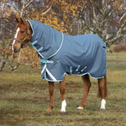Amigo Turnout AmEco Bravo 12 Plus 250g Dark Blue/Sky Blue