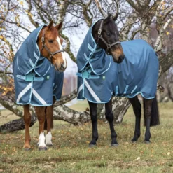 Amigo Turnout AmEco Bravo 12 Plus 250g Dark Blue/Sky Blue