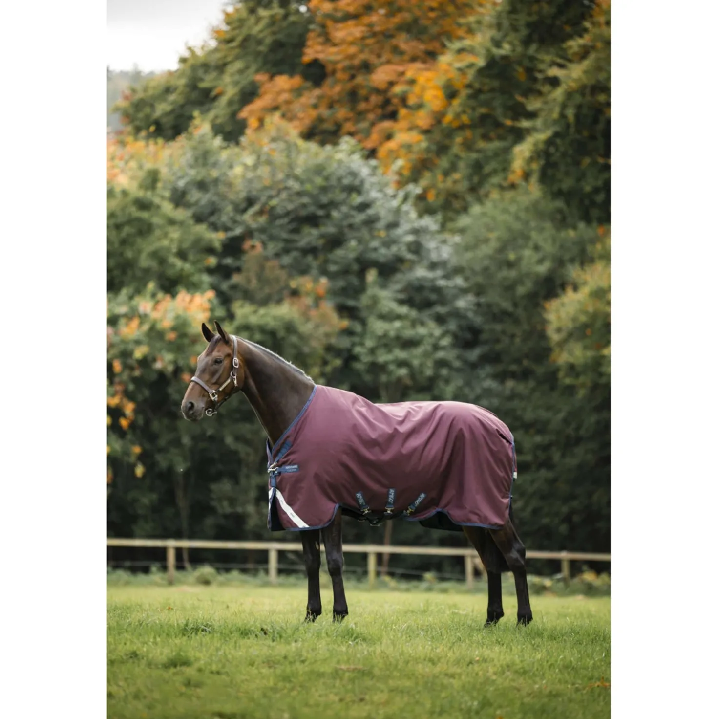 Amigo Turnout 1200D 0g Burgundy/Navy/Titanium Grey