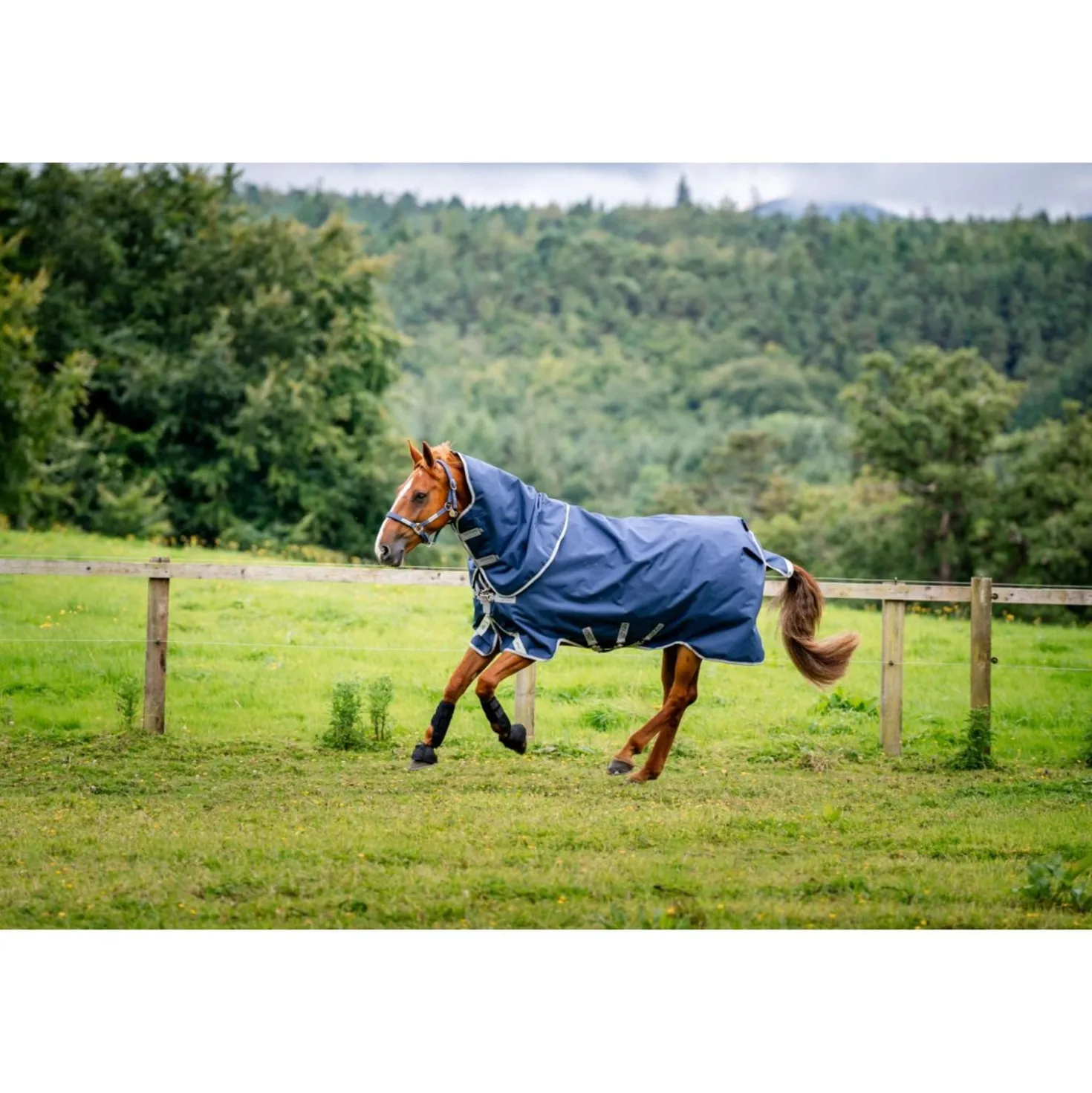 Amigo Turnout 1200D Plus 100g Navy/Titanium Grey