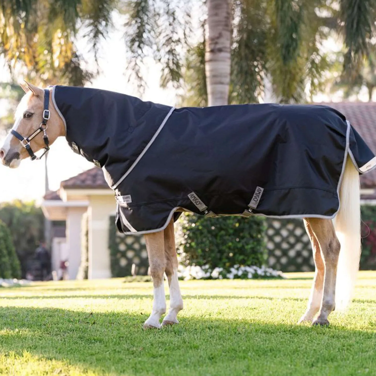 Amigo Turnout 1200D Plus Pony 0g Black/Titanium Grey/Silver