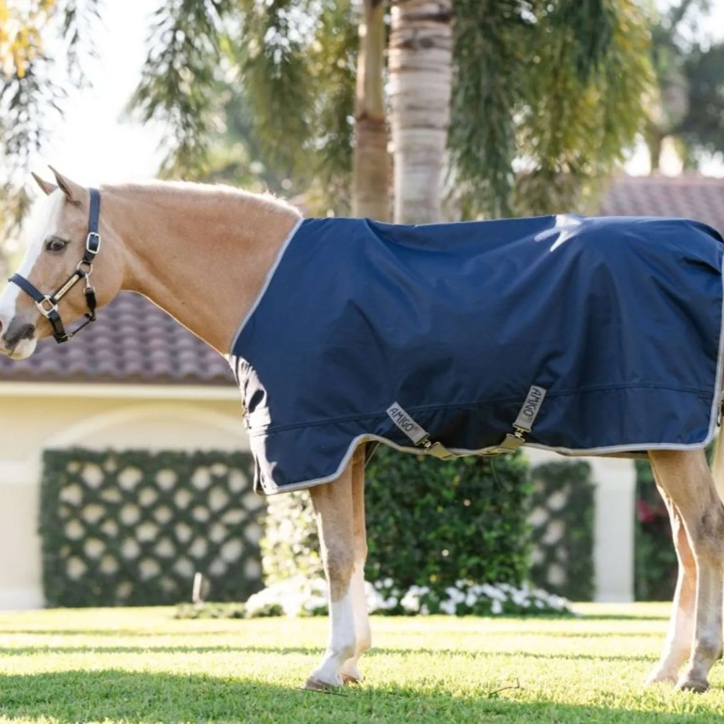 Amigo Turnout 1200D Pony 50g Navy/Titanium Grey/Silver