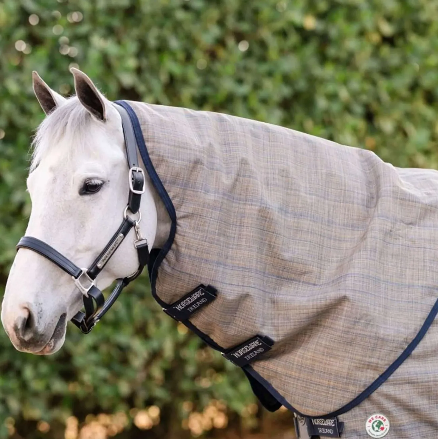Amigo Turnout 900D Revive Plus 50g