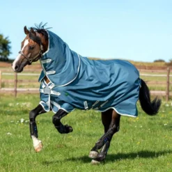 Amigo Turnout Eco Bravo 12 Plus 0g Teal/Grey