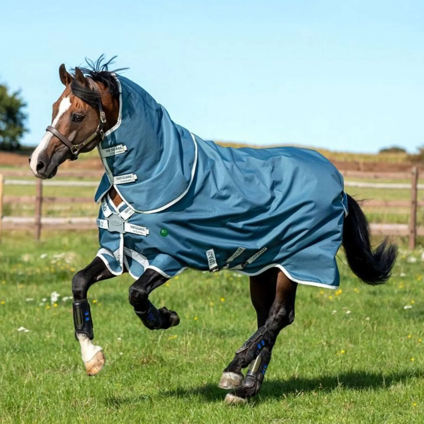 Amigo Turnout Eco Bravo 12 Plus 0g Teal/Grey