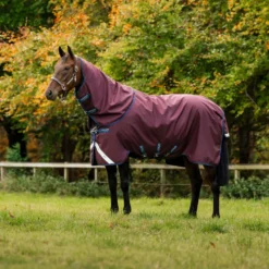 Amigo Turnout Plus 1200D 50g Burgundy/Navy/Titanium Grey