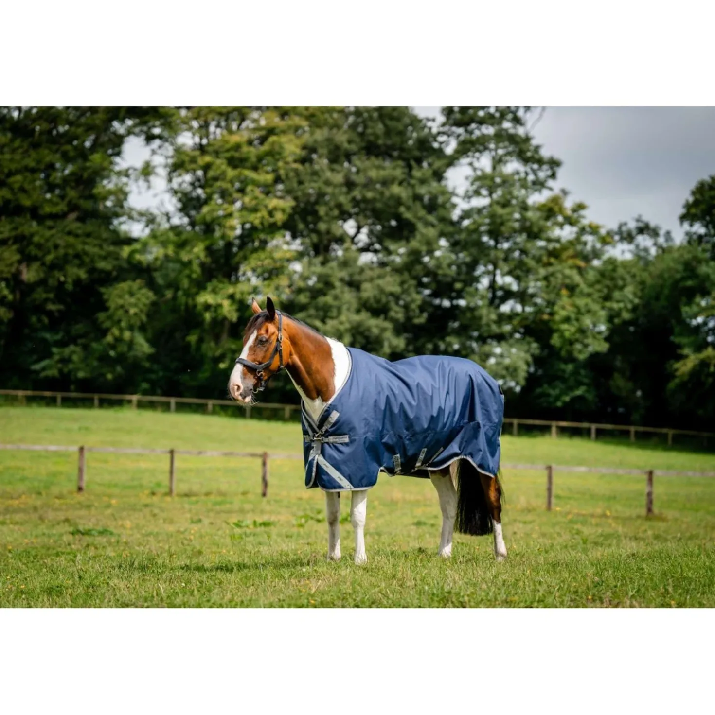 Amigo Turnout Rug 1200D 250g Navy/Titanium Grey/Silver
