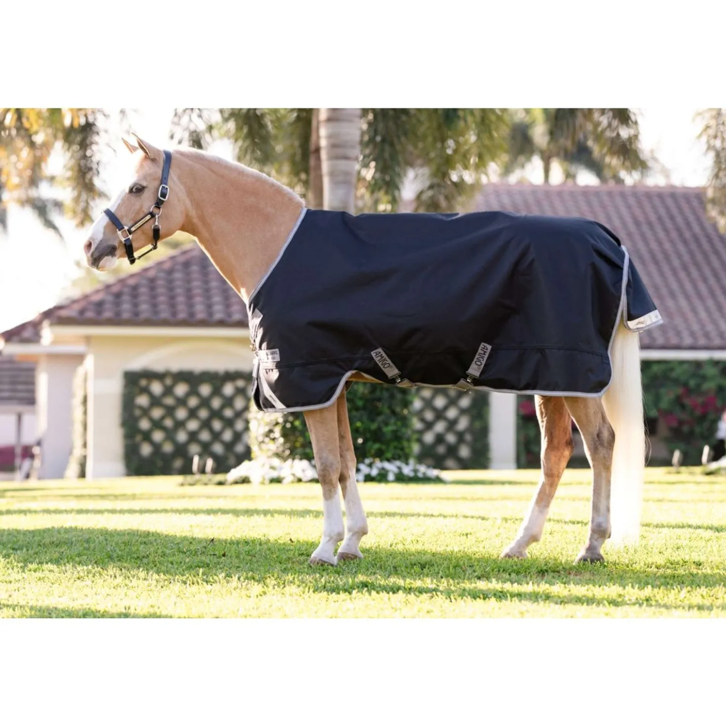 Amigo Turnout Rug 1200D Pony 250g Black/Titanium Grey/Silver