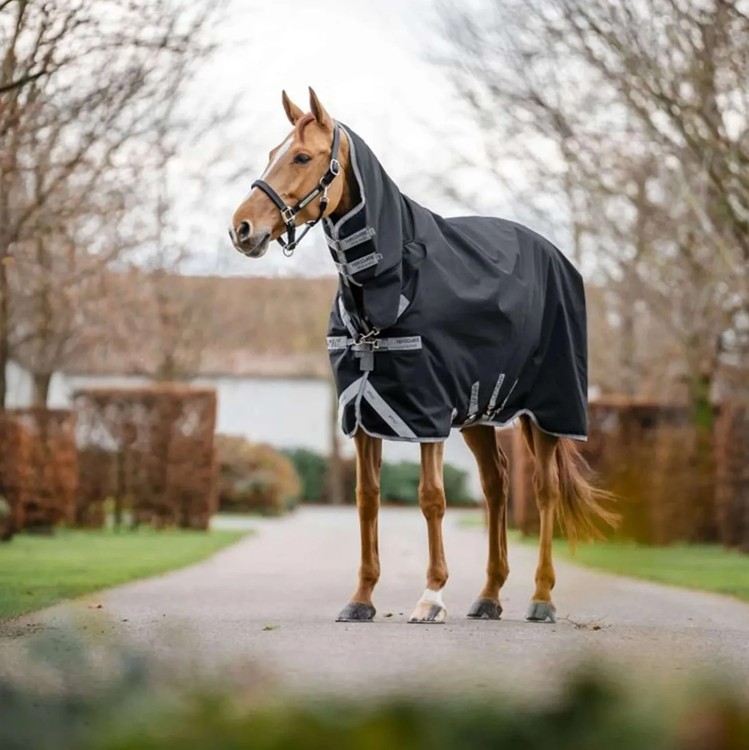 Amigo Turnout Rug Integrated 1200D 150g Black/Titanium Grey/Silver