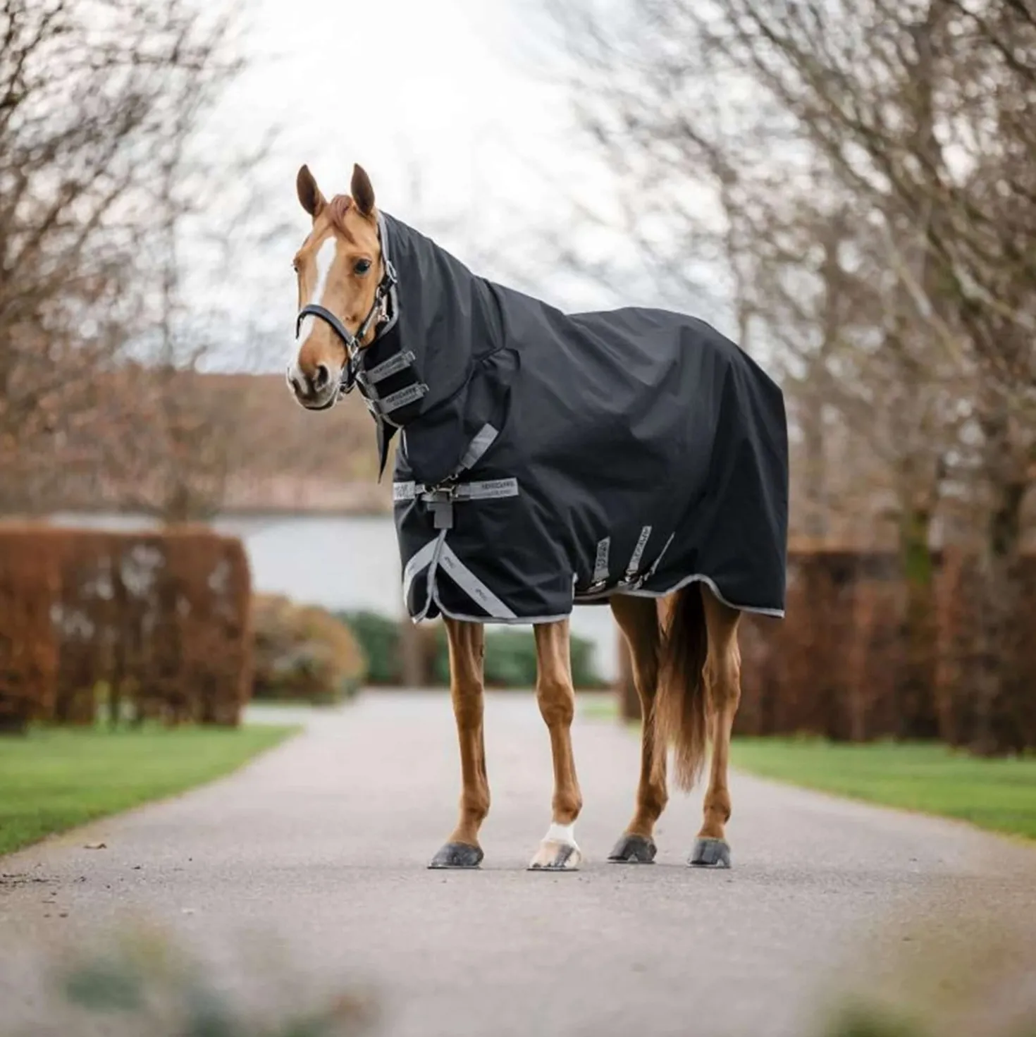 Amigo Turnout Rug Integrated 1200D 250g Black/Titanium Grey/Silver