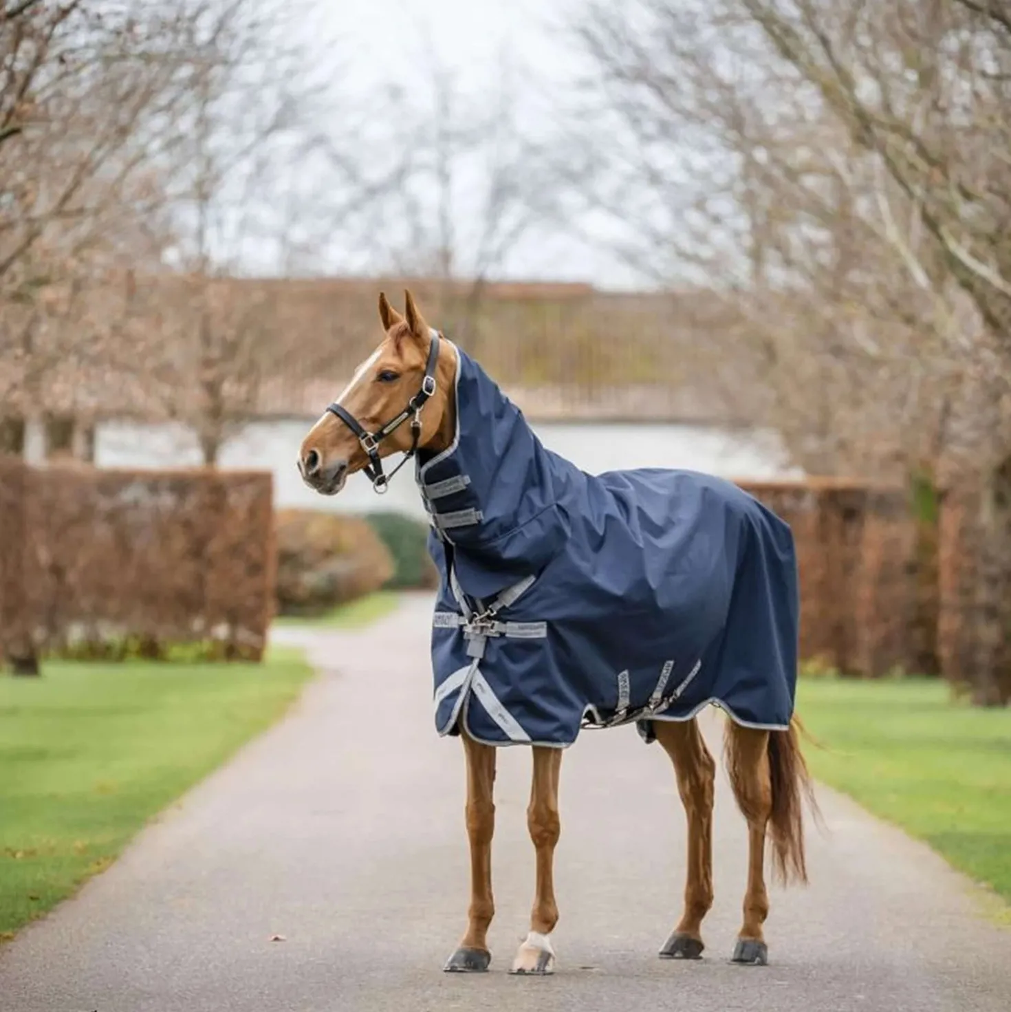 Amigo Turnout Rug Integrated 1200D 250g Navy/Titanium Grey/Silver