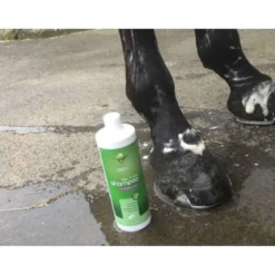 Animaderm Shampoo Tea Tree