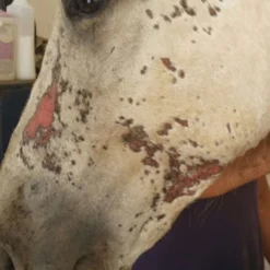 Animaderm Verzorgende Crème Cutene