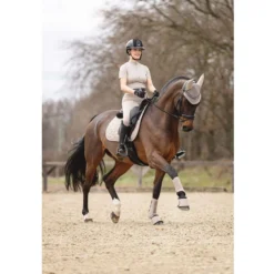 ANKY Dressage Boots ATB25005 3C Moon Rock