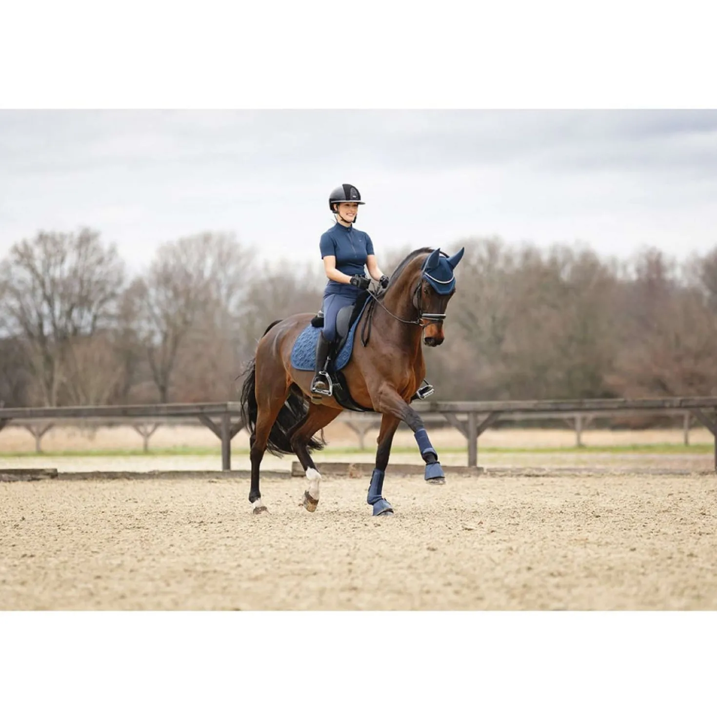 ANKY Dressage Boots ATB25005 3C Navy