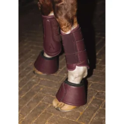 ANKY Dressage Boots ATB25005 3C Sassafras