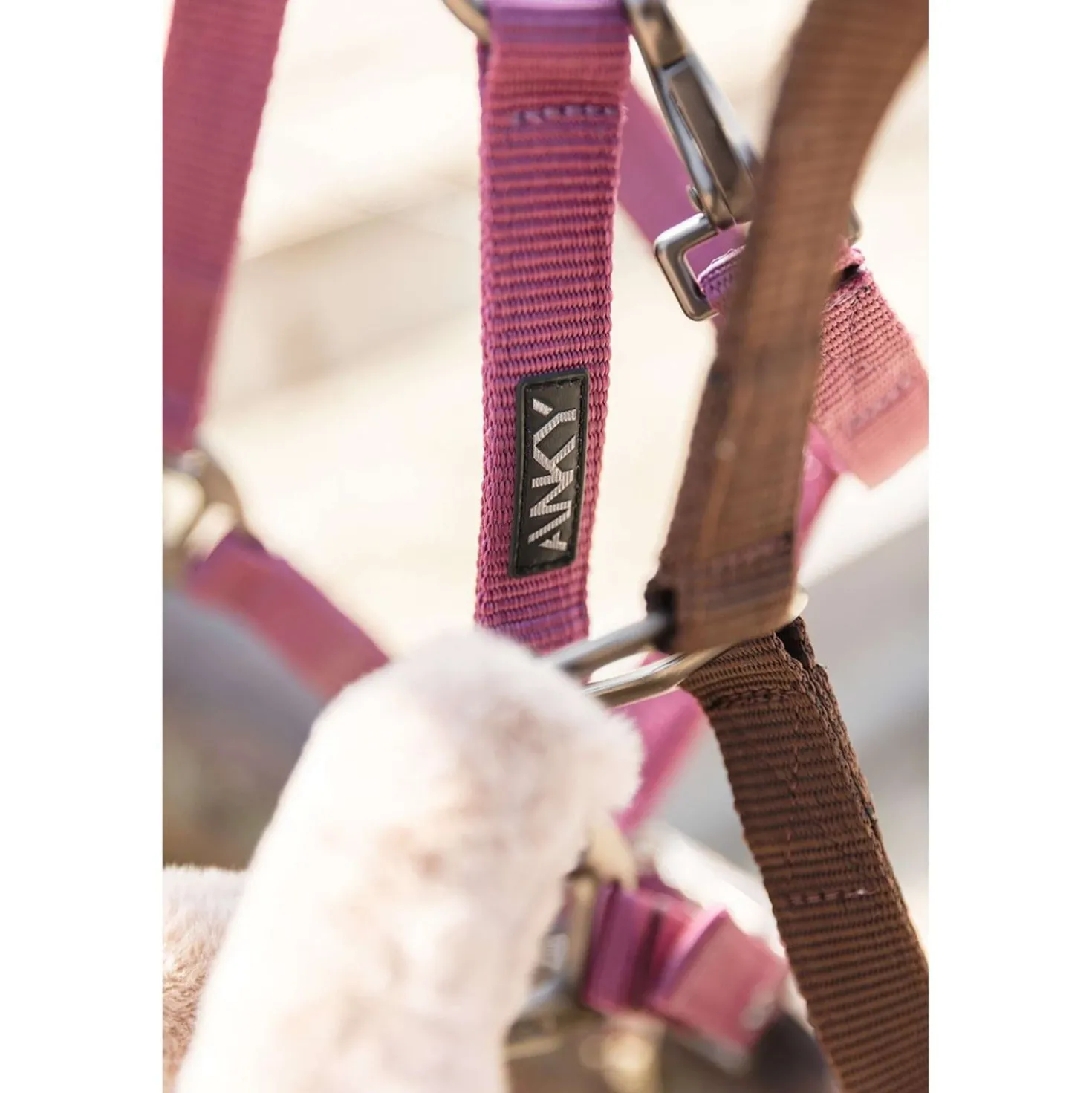 ANKY Halsterset Check Velvet ATH25002 Mellow Mauve