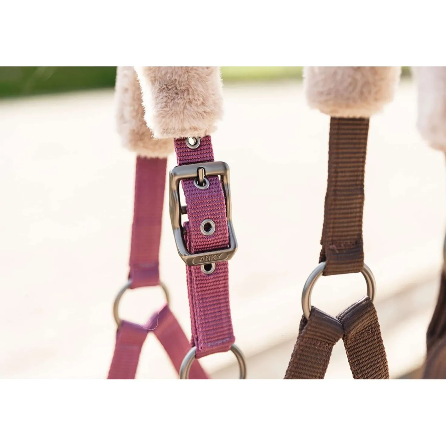 ANKY Halsterset Check Velvet ATH25002 Mellow Mauve
