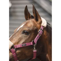 ANKY Halsterset Check Velvet ATH25002 Mellow Mauve