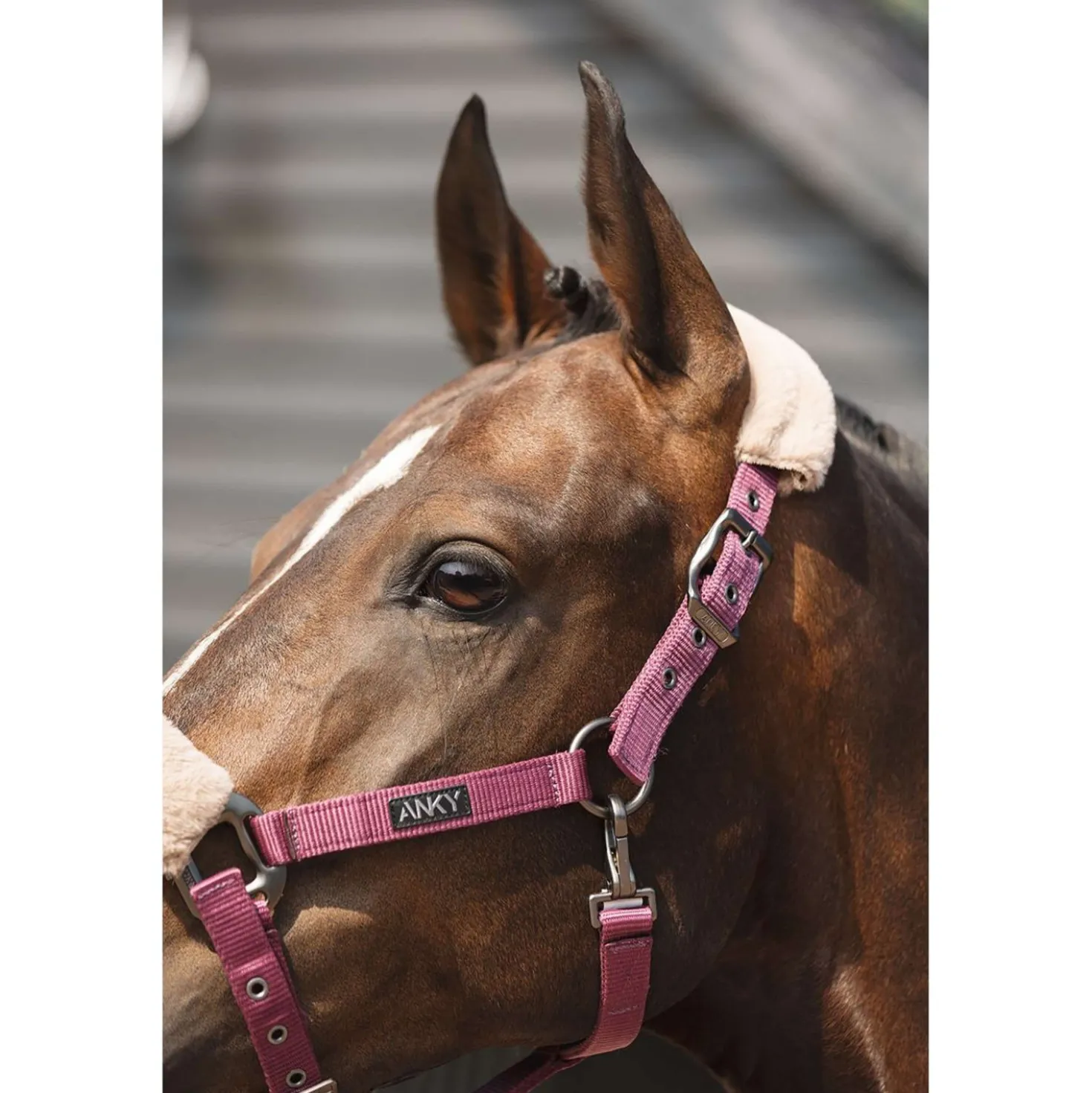 ANKY Halsterset Check Velvet ATH25002 Mellow Mauve