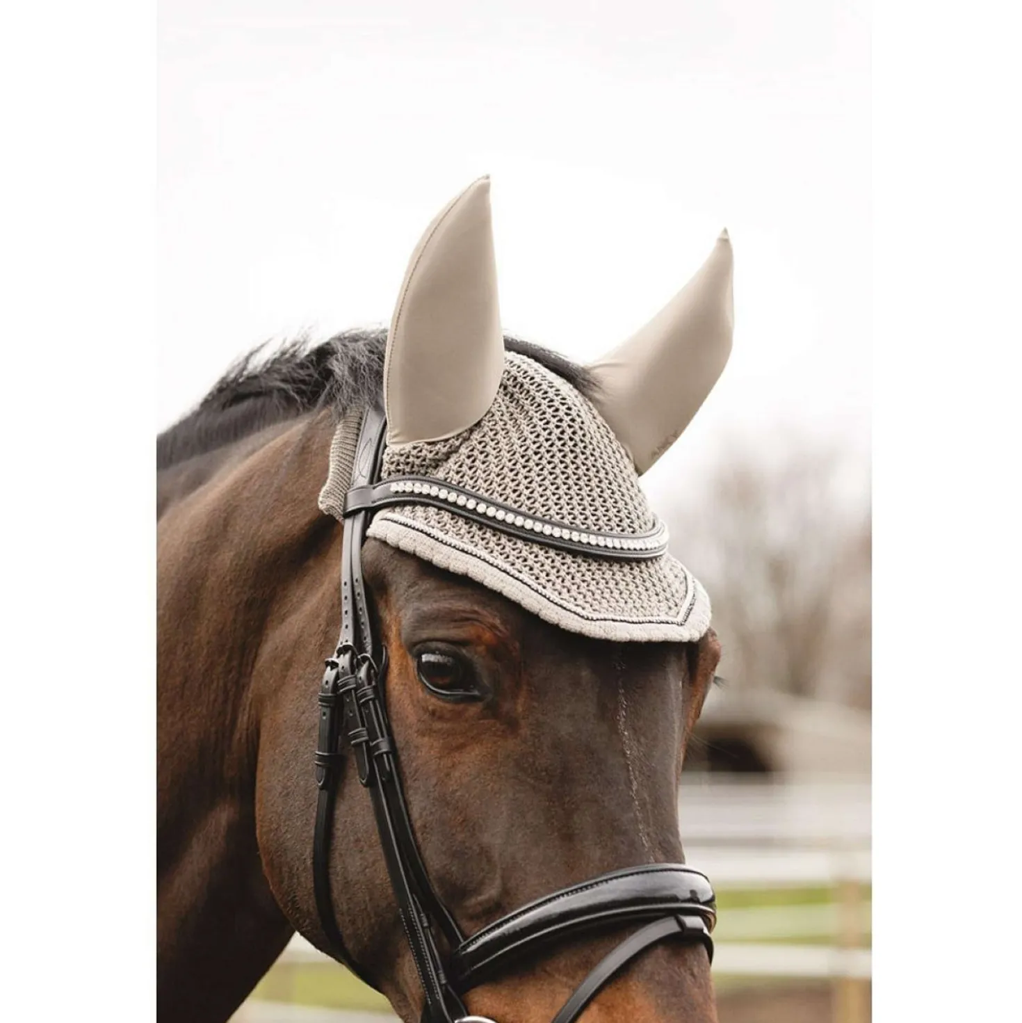 ANKY Oornetje ATB25007 3C Moon Rock
