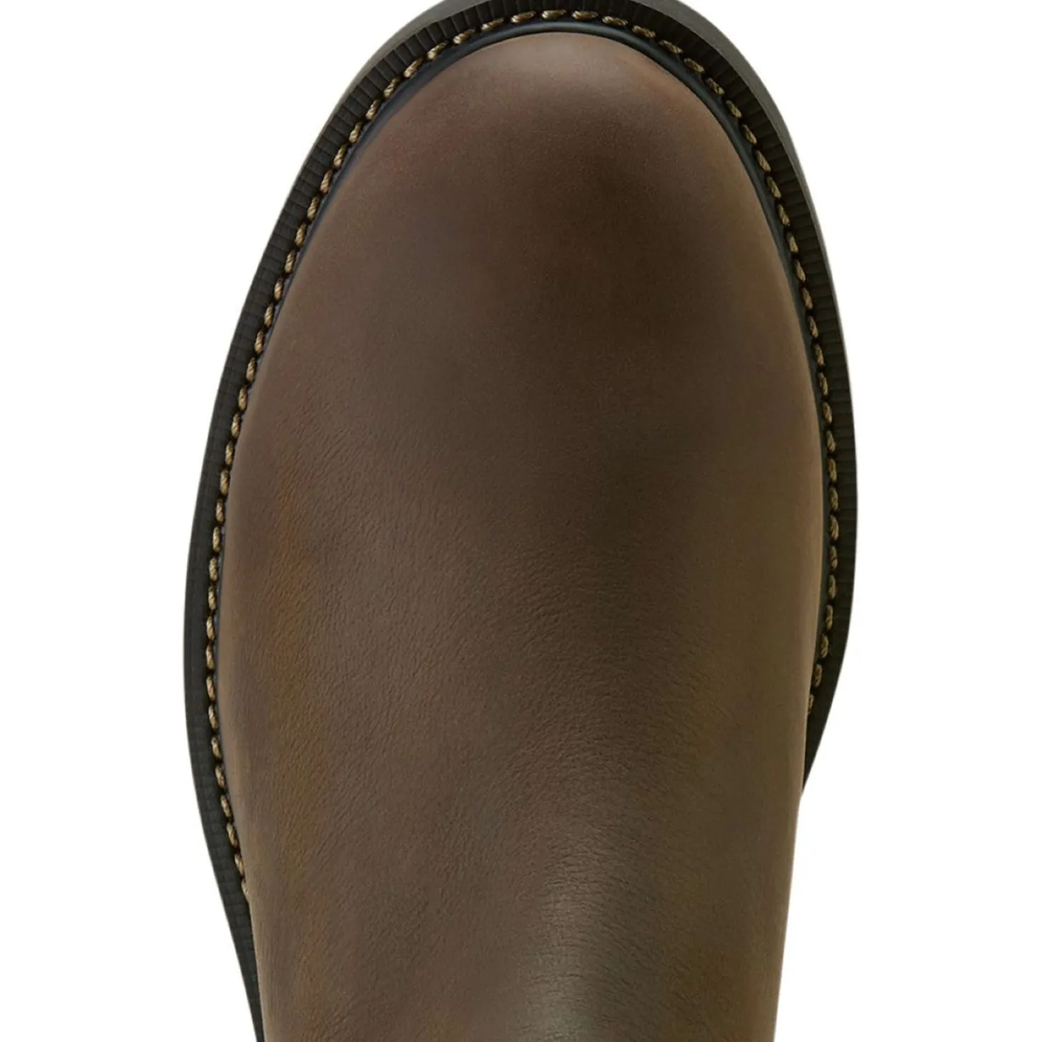 Ariat Jodhpurs Groundbreaker Chelsea H20 Heren Donkerbruin