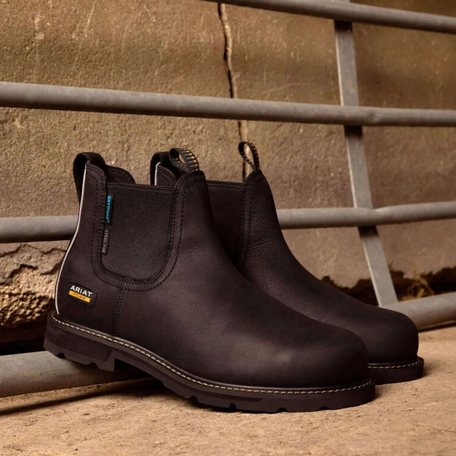 Ariat Jodhpurs Groundbreaker Chelsea Waterproof Steel Toe Heren Zwart