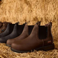 Ariat Jodhpurs Groundbreaker Chelsea Waterproof Steel Toe Heren Bruin