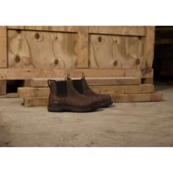 Ariat Jodhpurs Riverter Chelsea H20 Dames Donkerbruin
