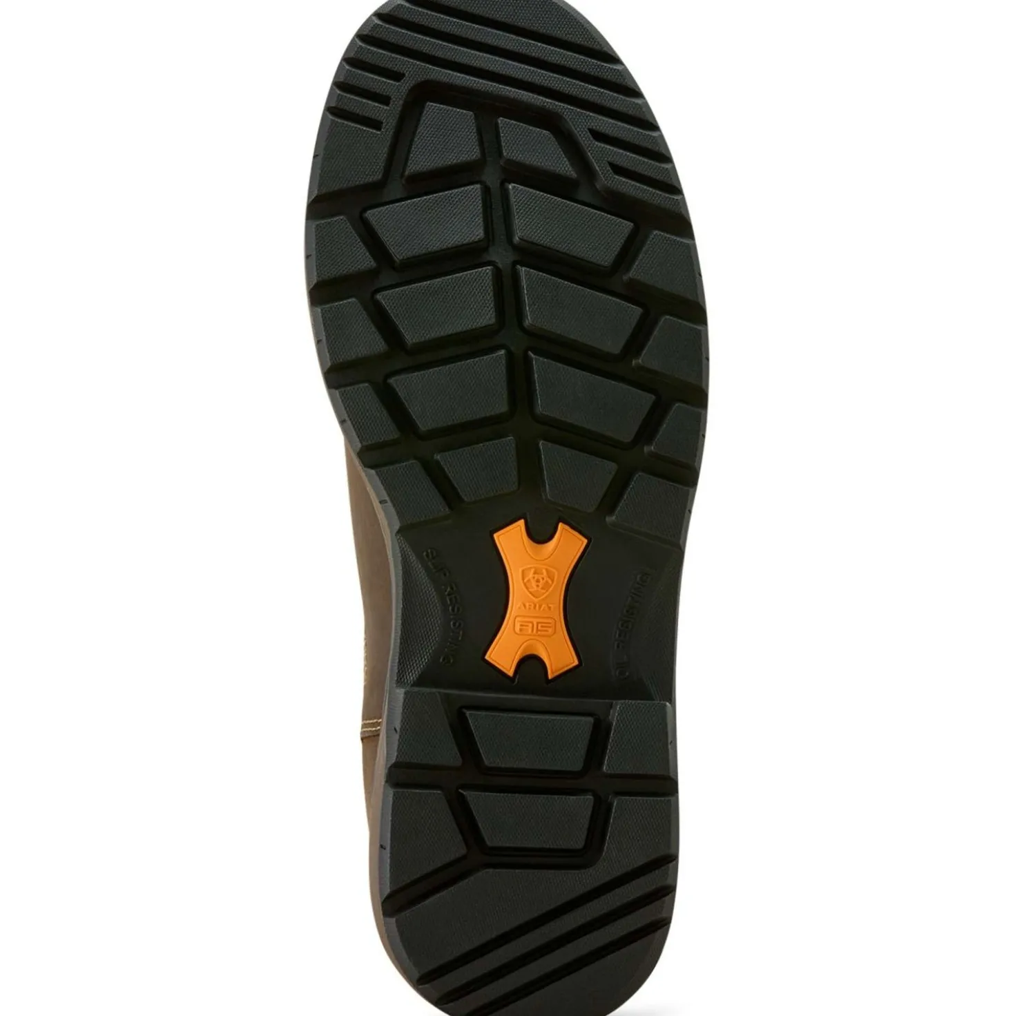Ariat Jodhpurs Riverter Chelsea H20 Dames Donkerbruin