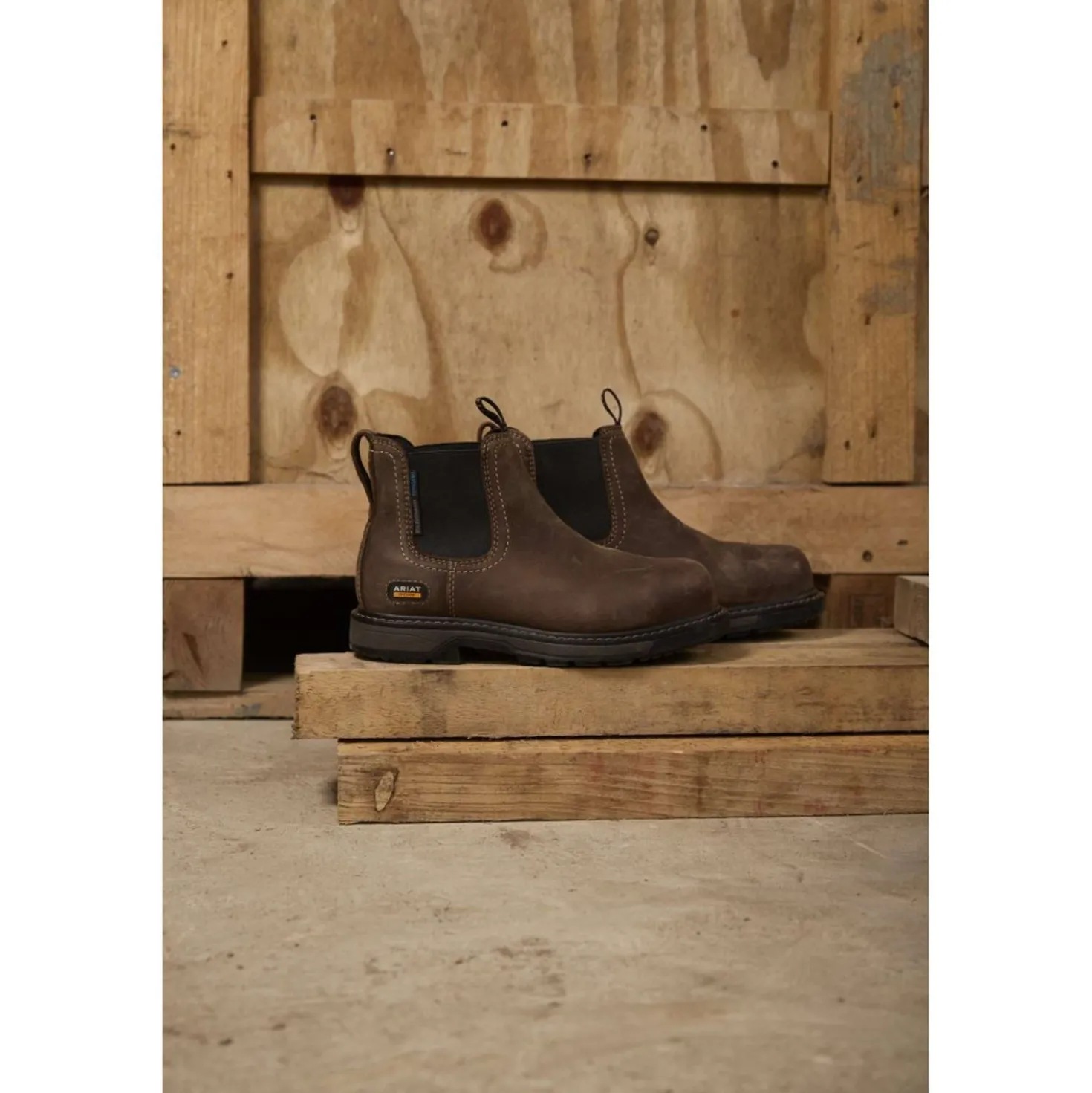 Ariat Jodhpurs Riverter Chelsea H20 Dames Donkerbruin